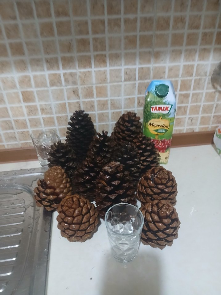 Koyu Kahverengi Kozalak Ev Dekoru - Görsel 3