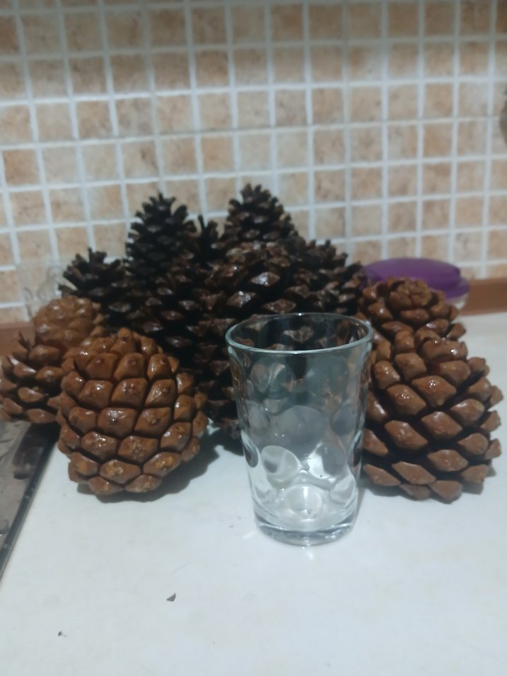 Koyu Kahverengi Kozalak Ev Dekoru - Görsel 5