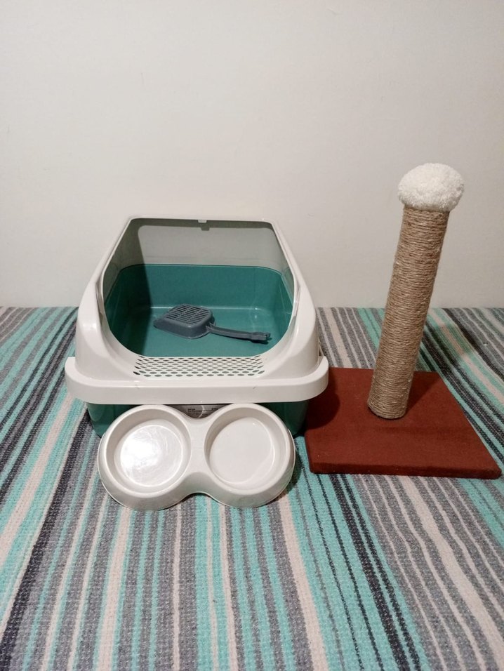 kedi tuvaleti mama kabı - Görsel 3