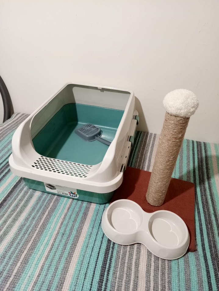 kedi tuvaleti mama kabı - Görsel 2