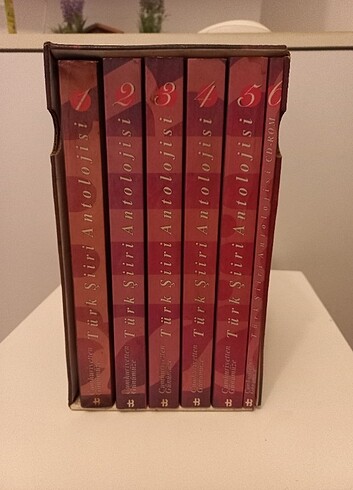 Türk şiiri Antolojisi - Görsel 2