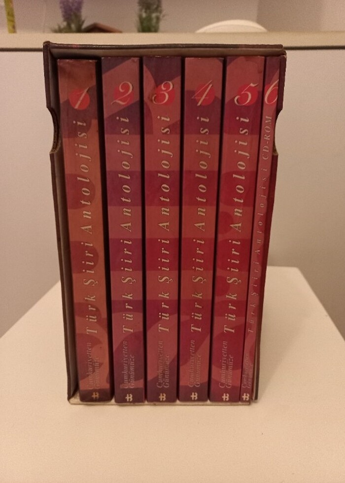 Türk şiiri Antolojisi - Görsel 2