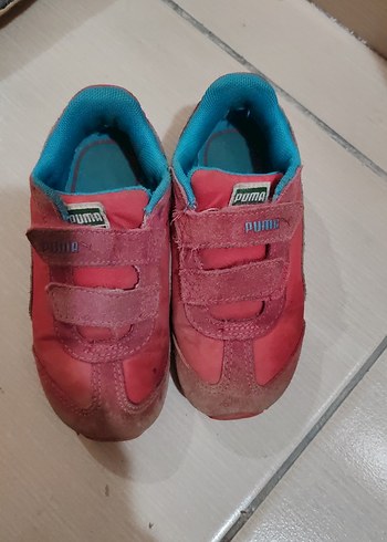 Puma 26