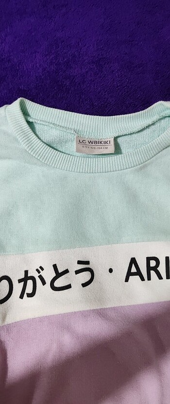 LC Waikiki Sweatshırt