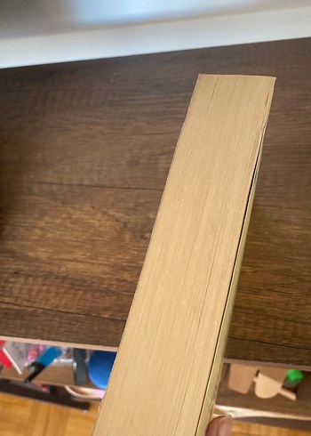 Gilgameş - Ölümsüzlük Peşinde - Görsel 3