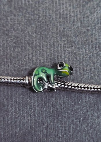 renk değiştiren Pascal bukalemun charm - Görsel 7