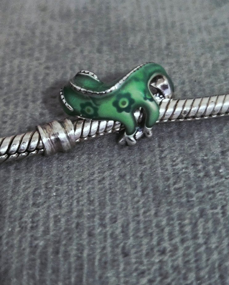 renk değiştiren Pascal bukalemun charm - Görsel 4