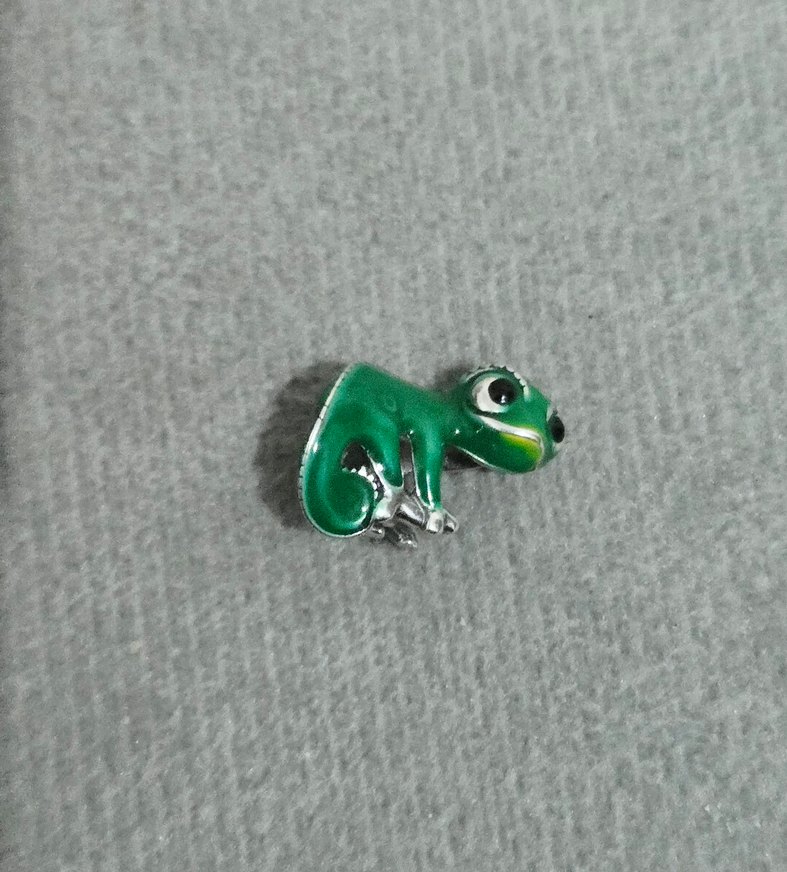 renk değiştiren Pascal bukalemun charm - Görsel 5