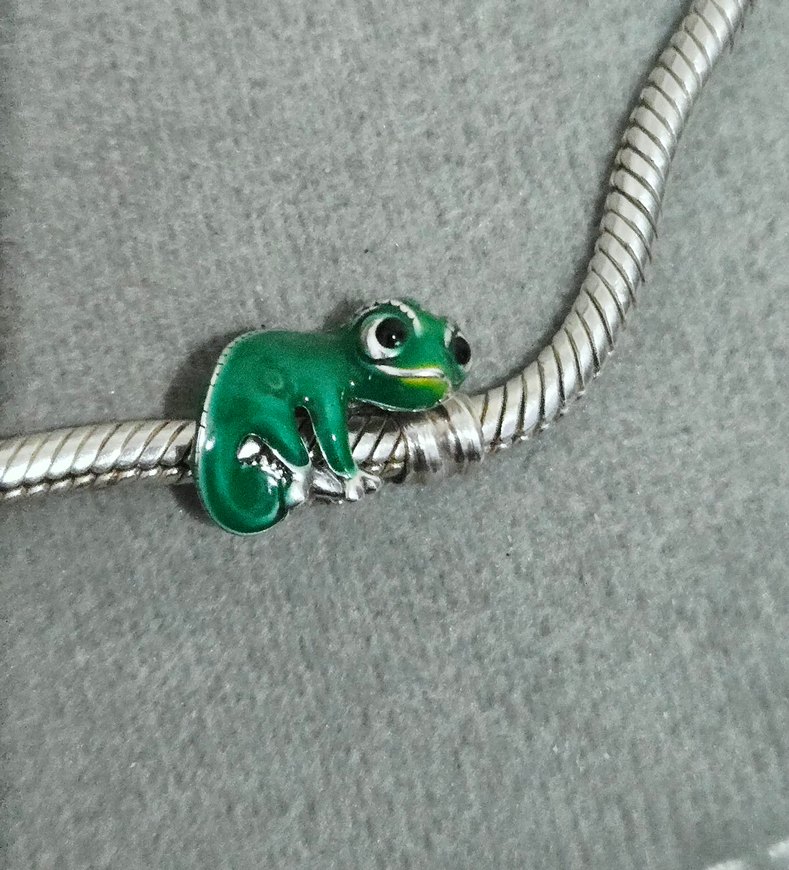 renk değiştiren Pascal bukalemun charm - Görsel 3