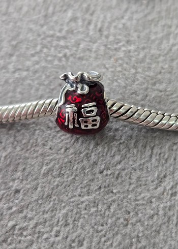 şanslı çanta gümüş charm - Görsel 2