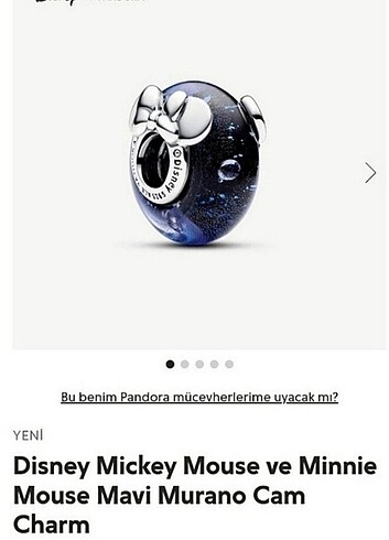Pandora Mickey Minnie murano charm