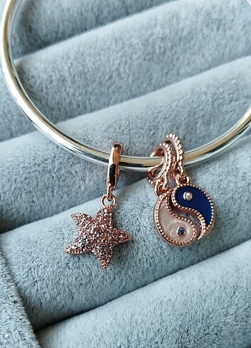  Beden Pandora ikili charm set (son fiyat) 