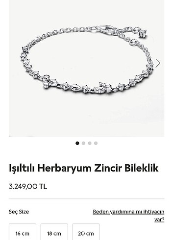 Pandora ışıltılı herbaryum zincir bileklik