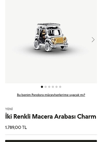 Pandora iki renkli macera arabası charm