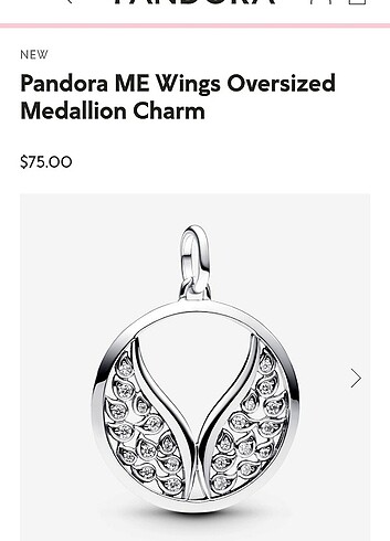 Pandora Me büyütülmüş kanatlar madalyon charm