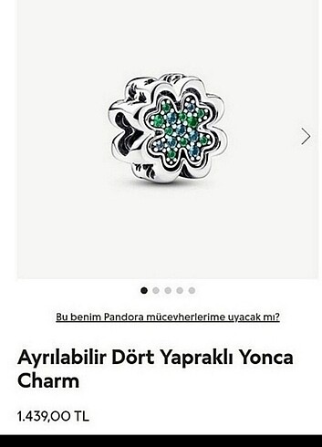 Pandora ayrılabilir yonca charm