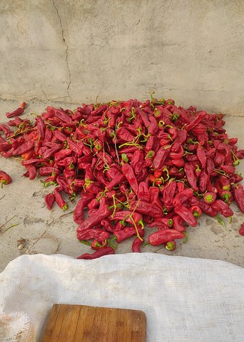 siyah pul biber - Görsel 8