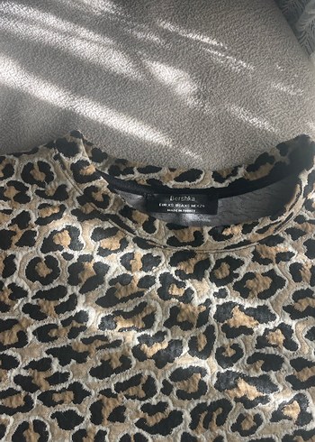 Kahverengi Yılan Desenli Kedi Kıyafeti - Görsel 2