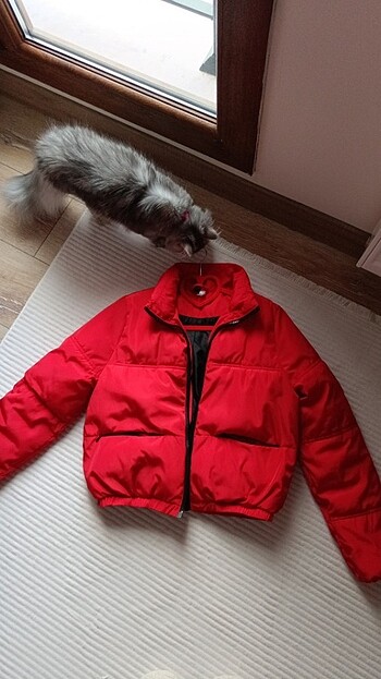 H&M H&M şişme mont