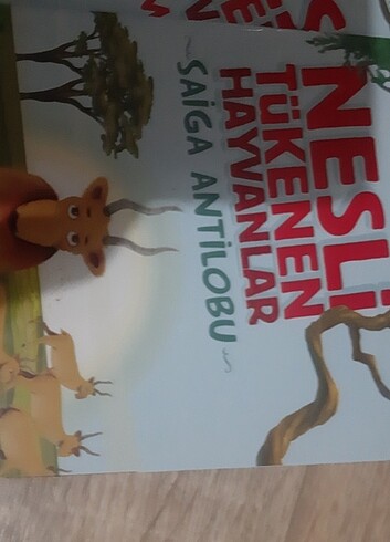 Okuma kitabı - Görsel 5