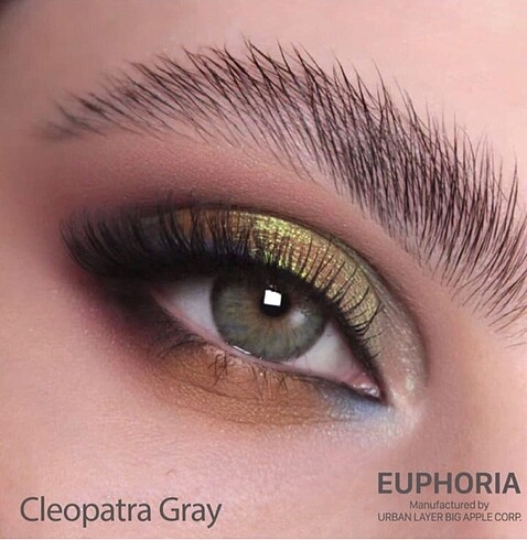 Euphoria Cleopatra Gray yıllık yeşil gri