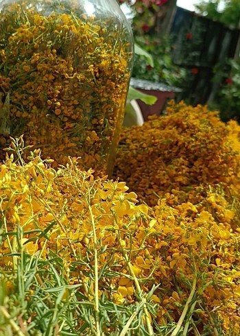 sarı kantaron yağı en doğalından - Görsel 5