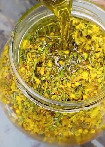 sarı kantaron yağı en doğalından - Görsel 4