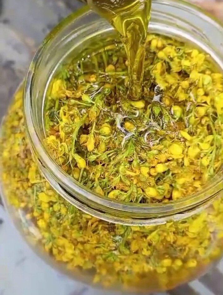 sarı kantaron yağı en doğalından - Görsel 4