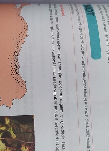  Beden Renk KPSS LISE ÖNLISANS KONU ANLATIMI