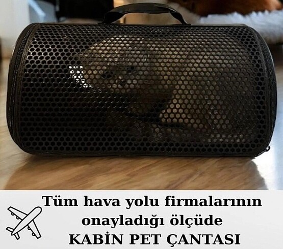 Kabin pet çanta Havayolu şirketlerinin onayladığı ölçüde