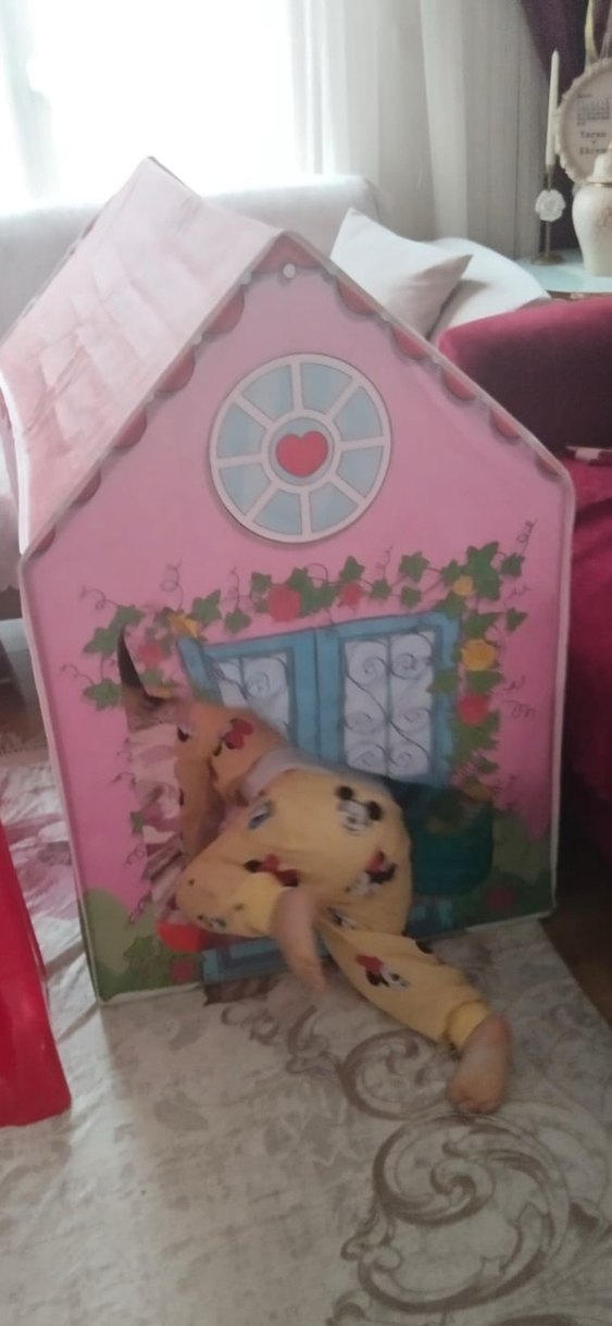 Rüya Evim Oyun Evi - Pembe oyun çadırı - Görsel 2