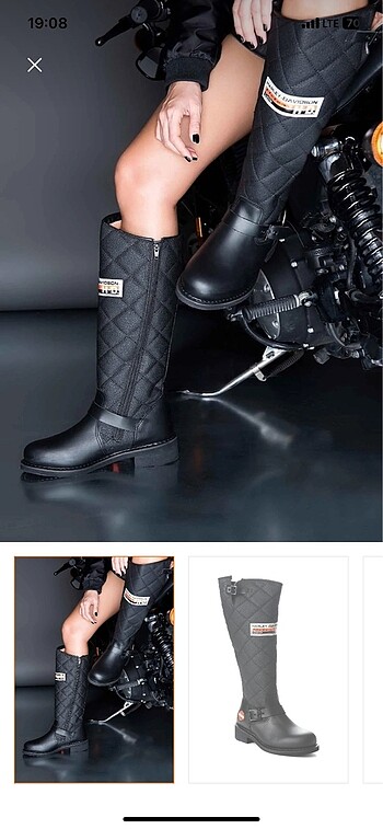 Harley davidson