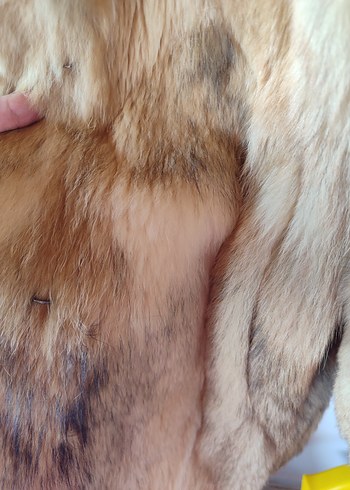 Kadın Kahverengi Uzun  Kürk Detaylı Mont - Görsel 6