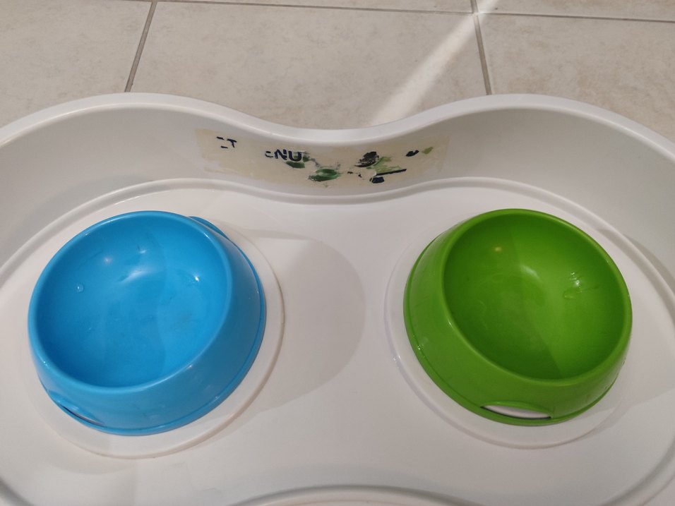 Beyaz Kaymaz Tabanlı Çift Mama ve Su Kabı - Görsel 2