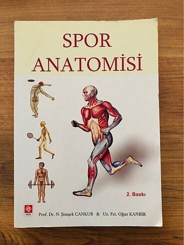 Spor Anatomisi