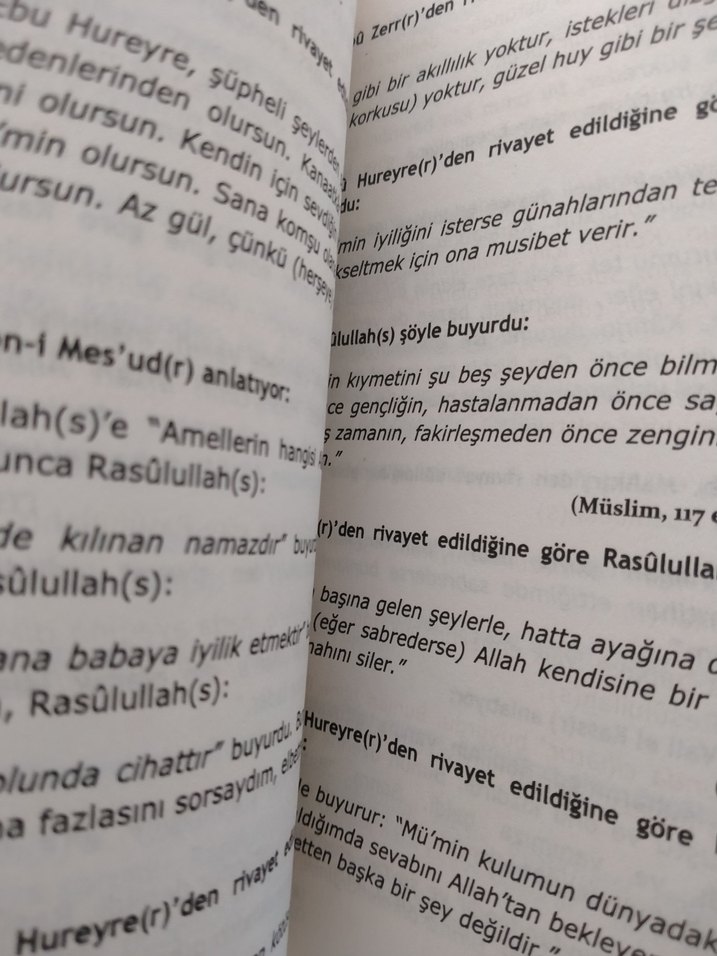 Hadis İklimi Sorularla Hadisler M Emin Yaşlı - Görsel 4