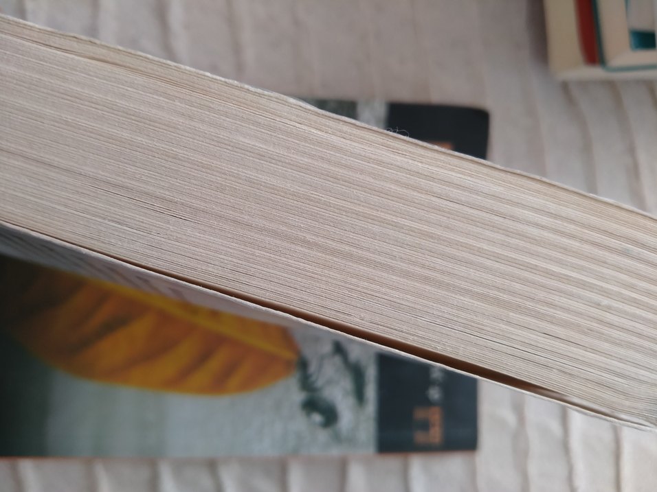 Esmâü'l Hüsna - İbn Kayyim el-Cevziyye - Görsel 3