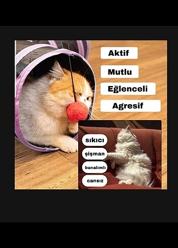 OYUN TÜNELİ 3 YÖNLÜ 