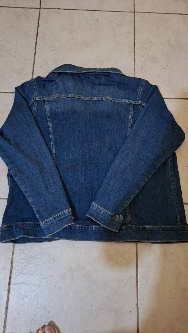 LCW/Düğmeli Mavi Denim Kadın Ceket - Görsel 2