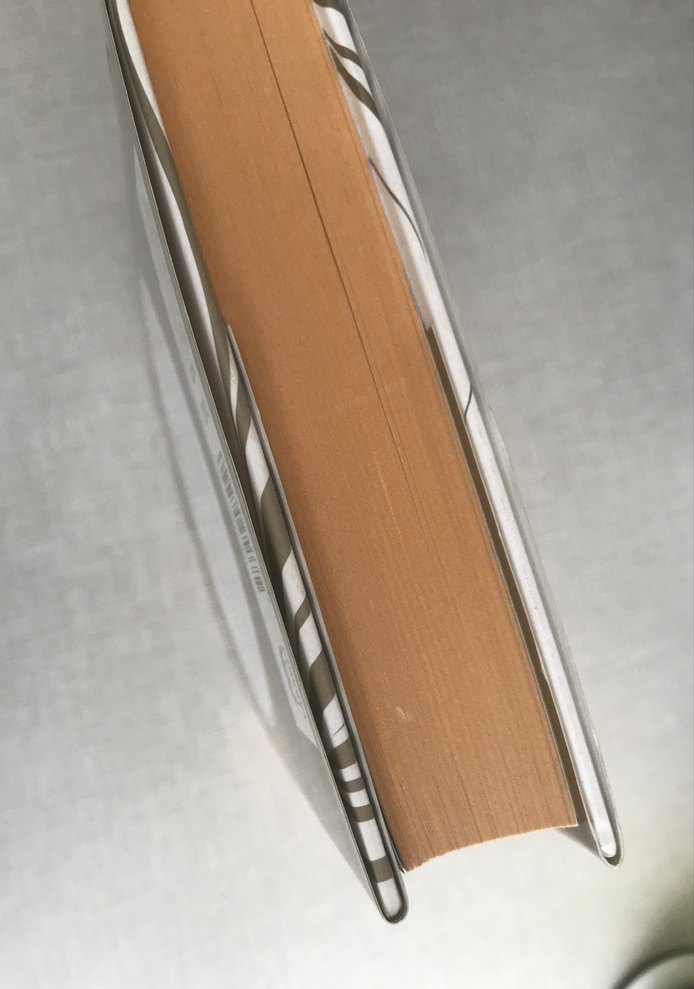 Parazit Jessica Shirvington Roman Yazarı - Görsel 4