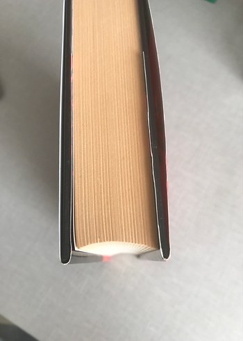 Meleklerin Kanı - Nalini Singh - Görsel 4