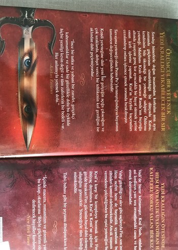 Kristin Cashore'dan Ateş ve Yetenek Kitapları - Görsel 2