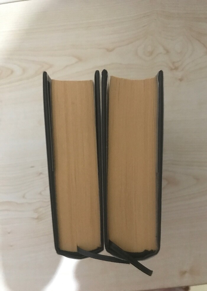 Ada serisi 1 ve 2 kitap ciltli - Görsel 2