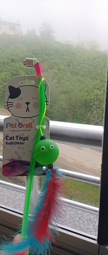 Kedi oltası - Görsel 2