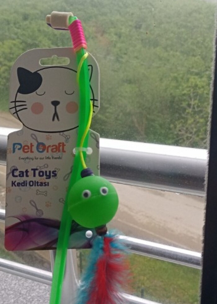 Kedi oltası - Görsel 2