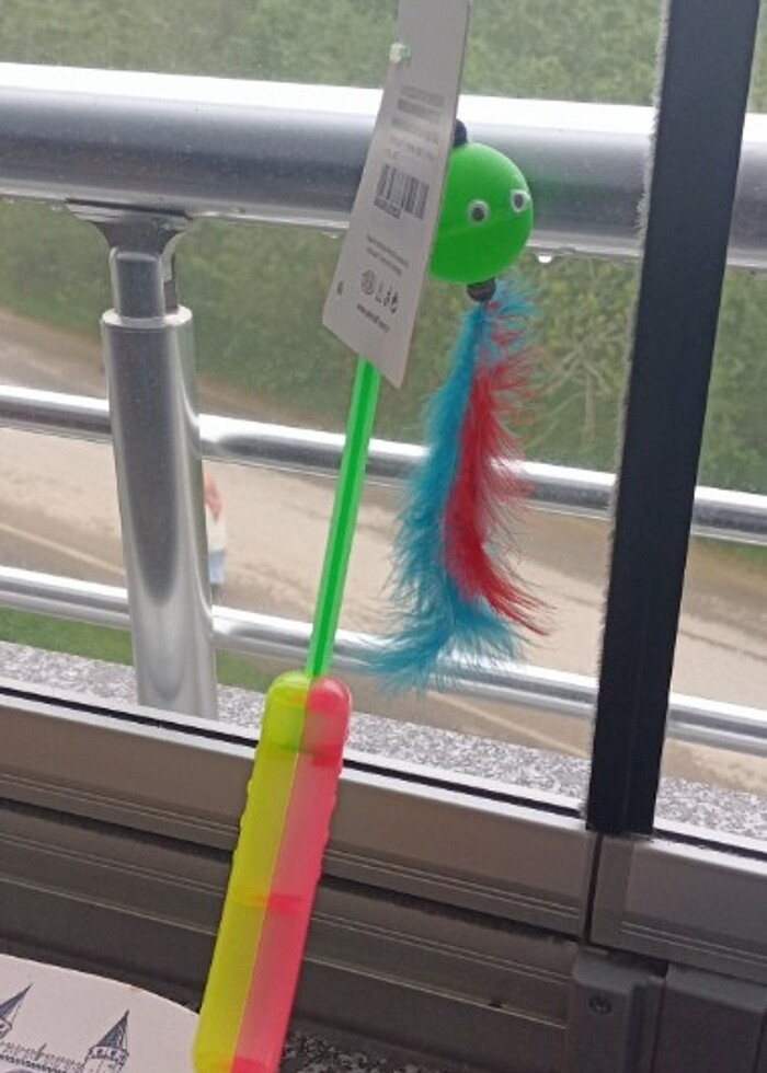 Kedi oltası - Görsel 5