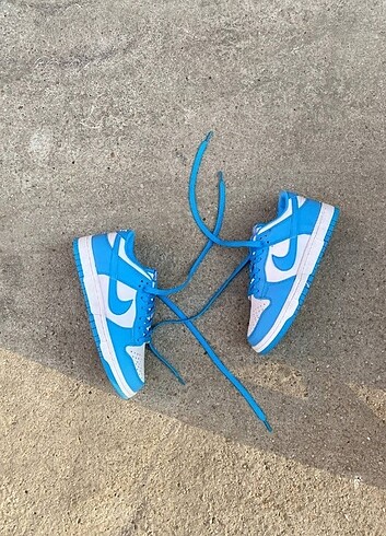 Nike Dunk Low Universy