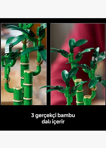 Beden Renk LEGO Botanicals Şanslı Bambusu Seti