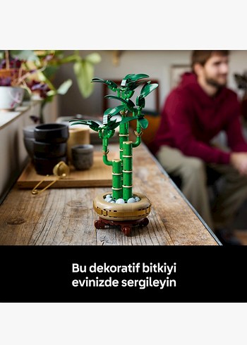 Beden LEGO Botanicals Şanslı Bambusu Seti