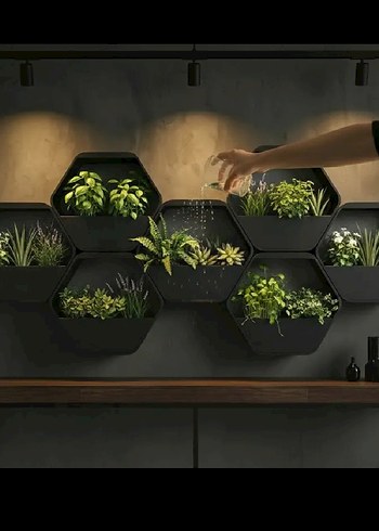 Dekoratif duvara asılabilen üstten sulanabilen saksı - Görsel 4